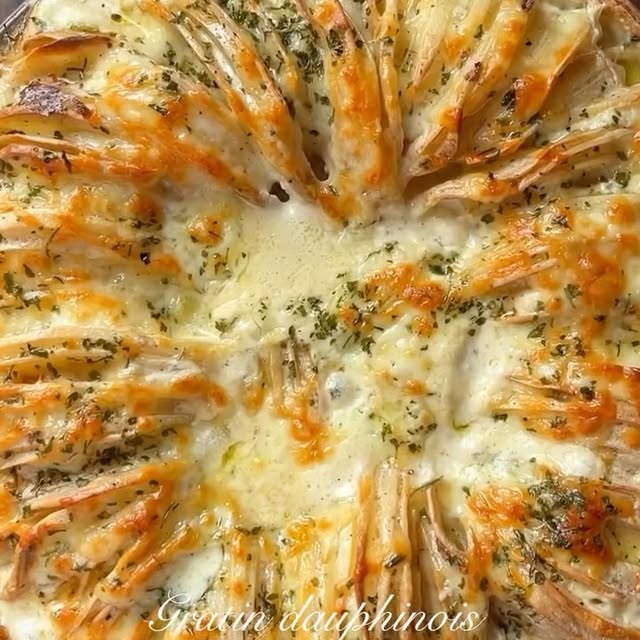 Gratin dauphinois